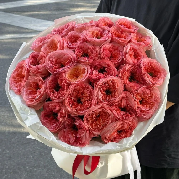 1766262171_85651984.jpg