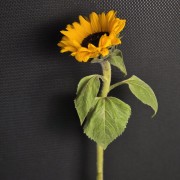 1770478101_36784069.jpg