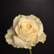 1770476000_30892569.jpg