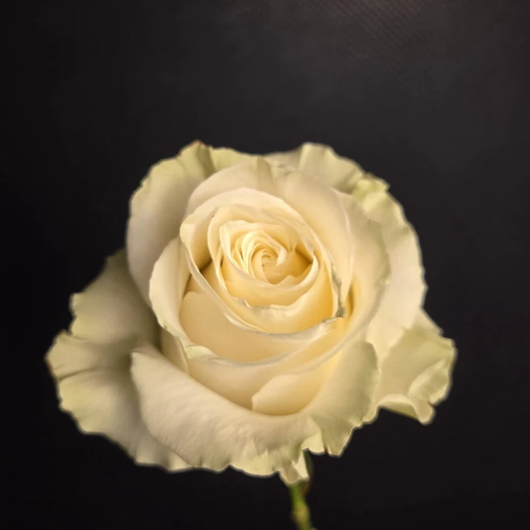 1770476000_30892569.jpg